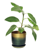 Joe Metal Pot With Drainage Hole | 3 & 5 inch - Chive Ceramics Studio - Pots - Chive Ceramics Studio