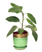 Joe Metal Pot With Drainage Hole | 3 & 5 inch - Chive Ceramics Studio - Pots - Chive Ceramics Studio