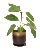 Joe Metal Pot With Drainage Hole | 3 & 5 inch - Chive Ceramics Studio - Pots - Chive Ceramics Studio