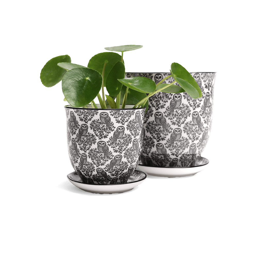 Liberte Porcelain Pot And Saucer Set With Drainage - Chive Ceramics Studio - Pots - Chive Ceramics Studio