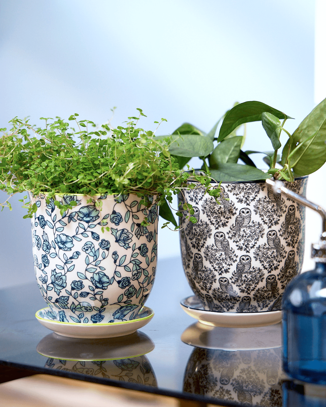 Liberte Porcelain Pot And Saucer Set With Drainage - Chive Ceramics Studio - Pots - Chive Ceramics Studio