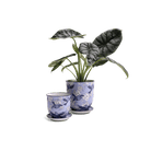 Liberte Porcelain Pot And Saucer Set With Drainage - Chive Ceramics Studio - Pots - Chive Ceramics Studio