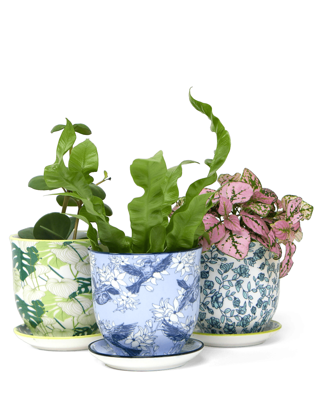 Liberte Porcelain Pot And Saucer Set With Drainage - Chive Ceramics Studio - Pots - Chive Ceramics Studio