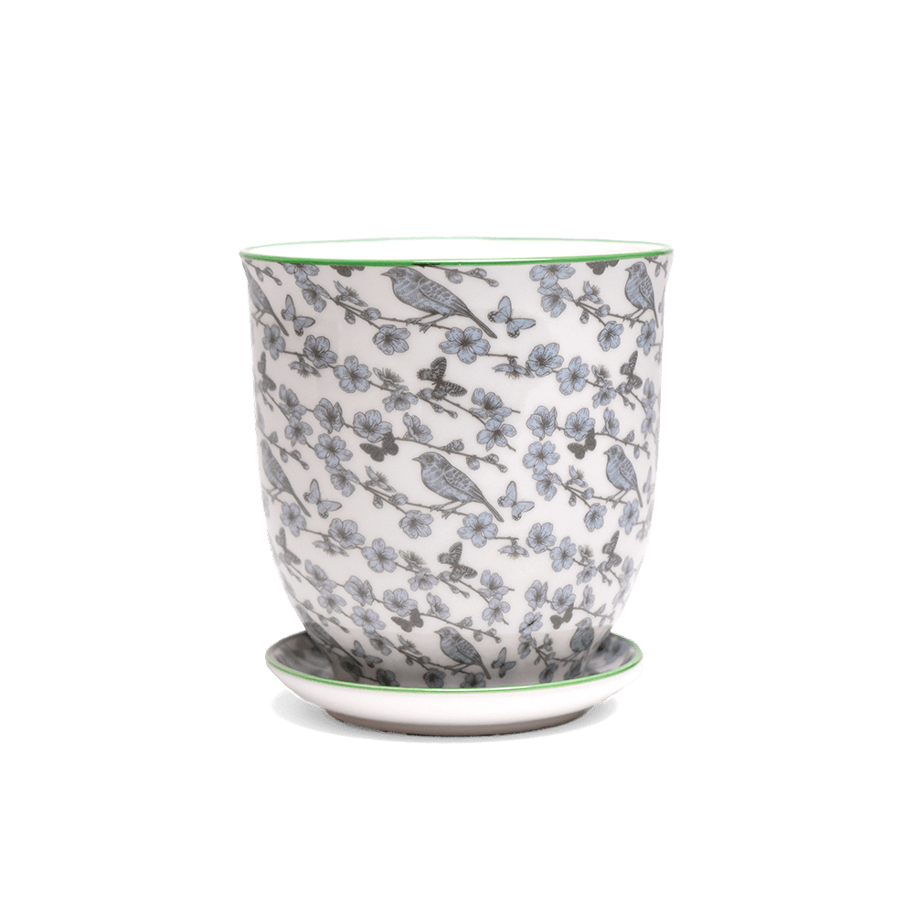 Liberte 5 Porcelain Pot And Saucer With Drainage - Chive Ceramics Studio - Pots - Chive Ceramics Studio