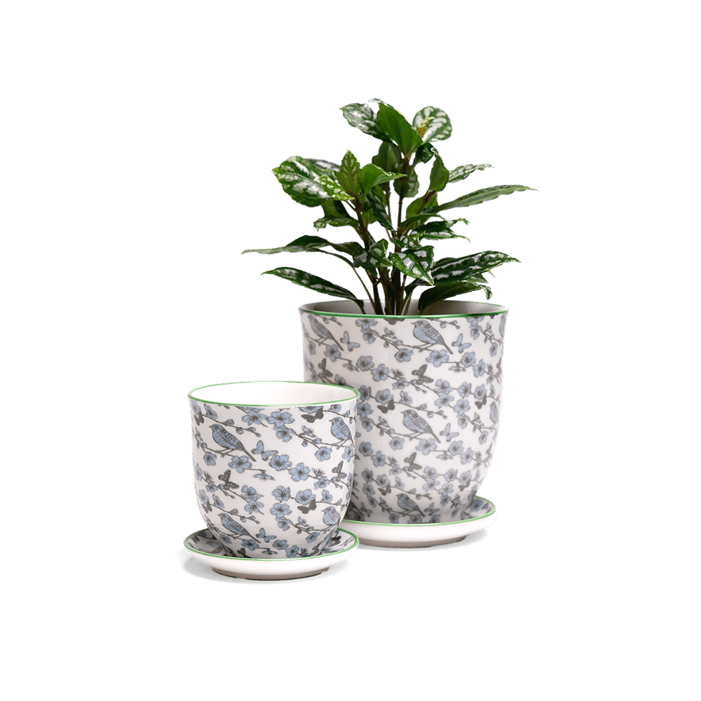 Liberte 5 Porcelain Pot And Saucer With Drainage - Chive Ceramics Studio - Pots - Chive Ceramics Studio