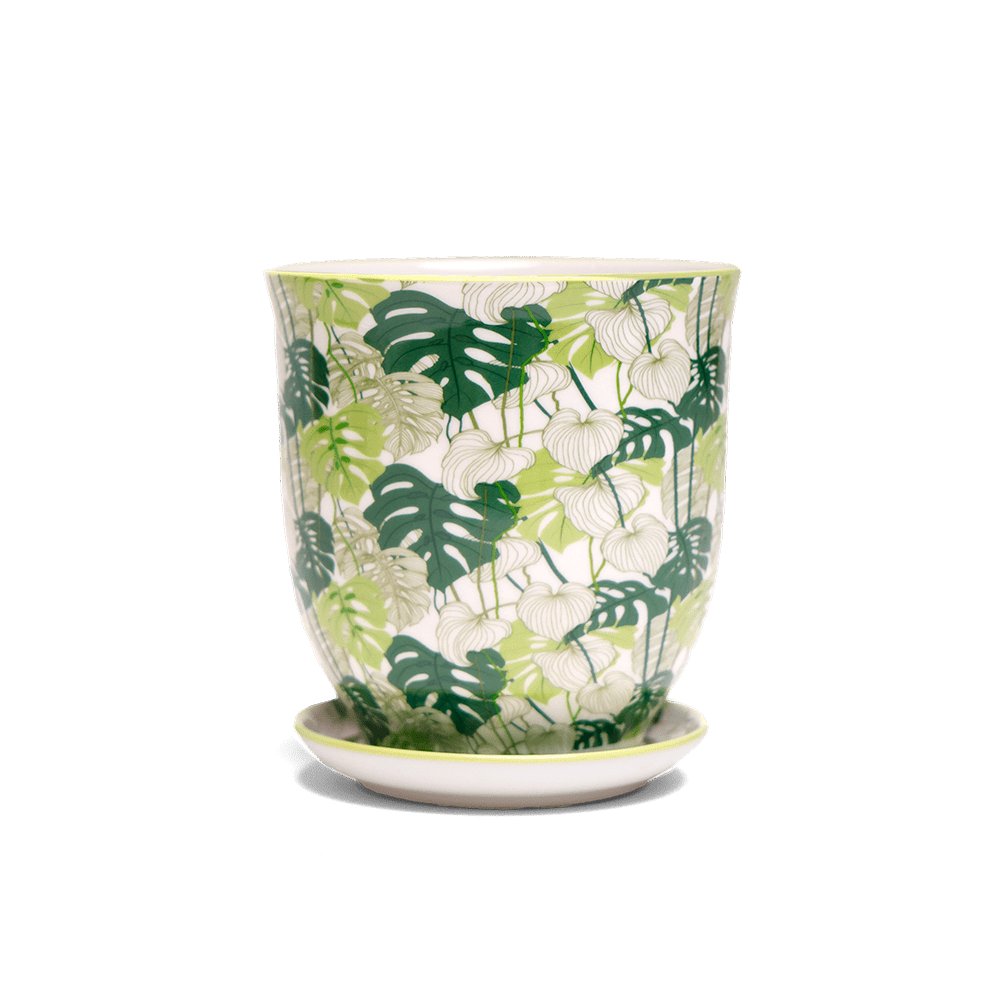 Liberte 5 Porcelain Pot And Saucer With Drainage - Chive Ceramics Studio - Pots - Chive Ceramics Studio