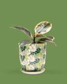 Liberte Porcelain 4.25" Pot And Saucer - Chive Ceramics Studio - Pots - Chive Ceramics Studio