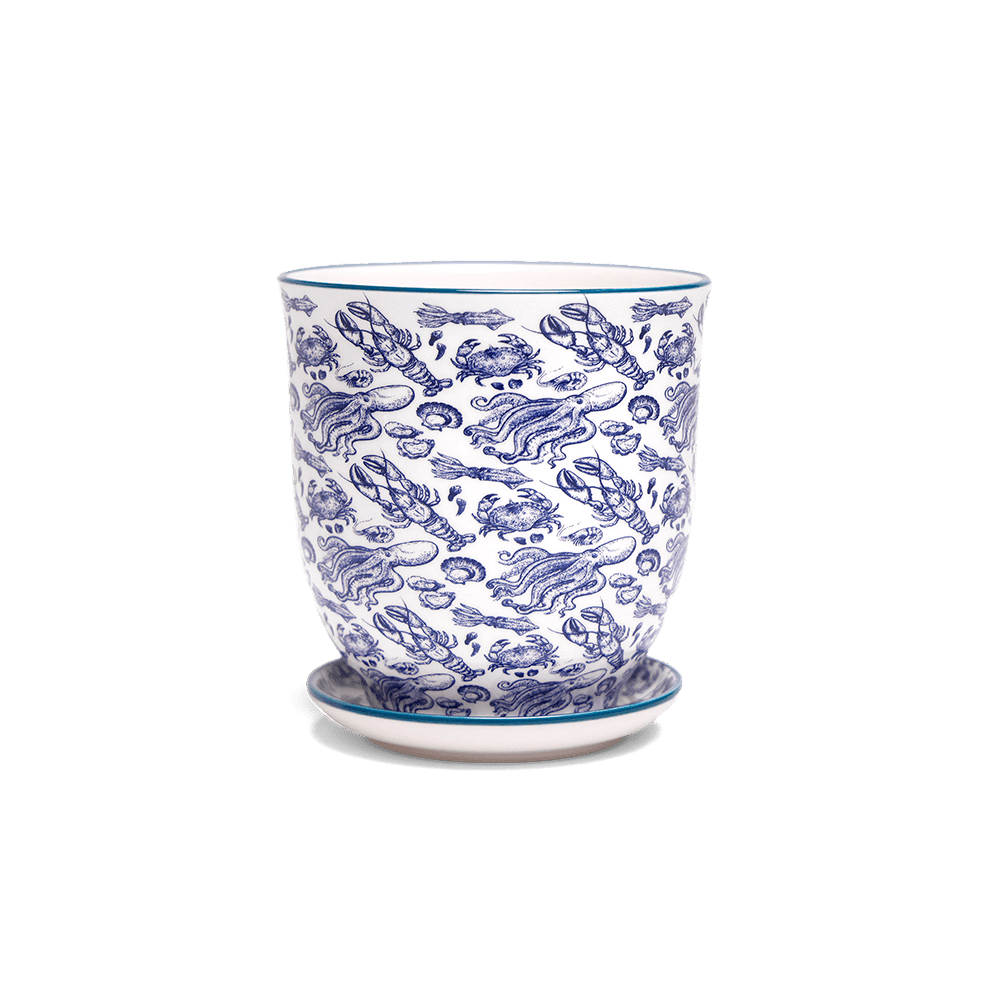 Liberte 5 Porcelain Pot And Saucer With Drainage - Chive Ceramics Studio - Pots - Chive Ceramics Studio