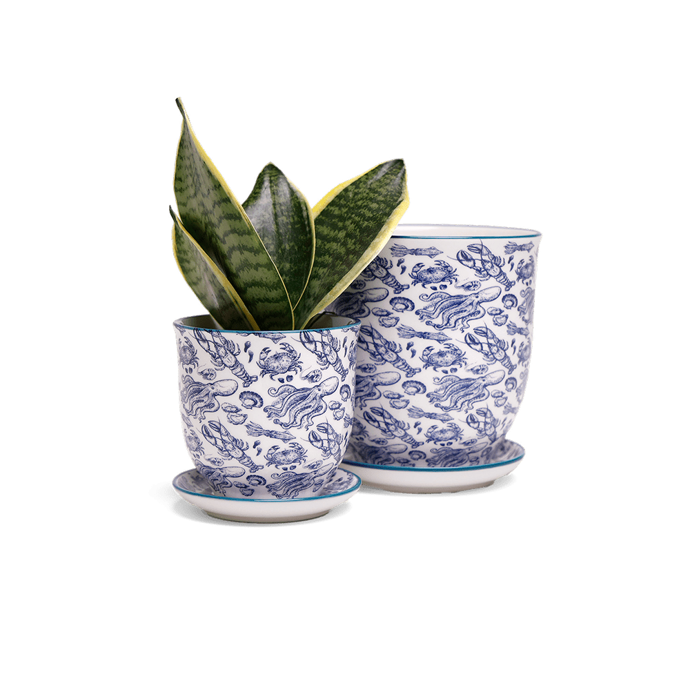 Liberte 5 Porcelain Pot And Saucer With Drainage - Chive Ceramics Studio - Pots - Chive Ceramics Studio