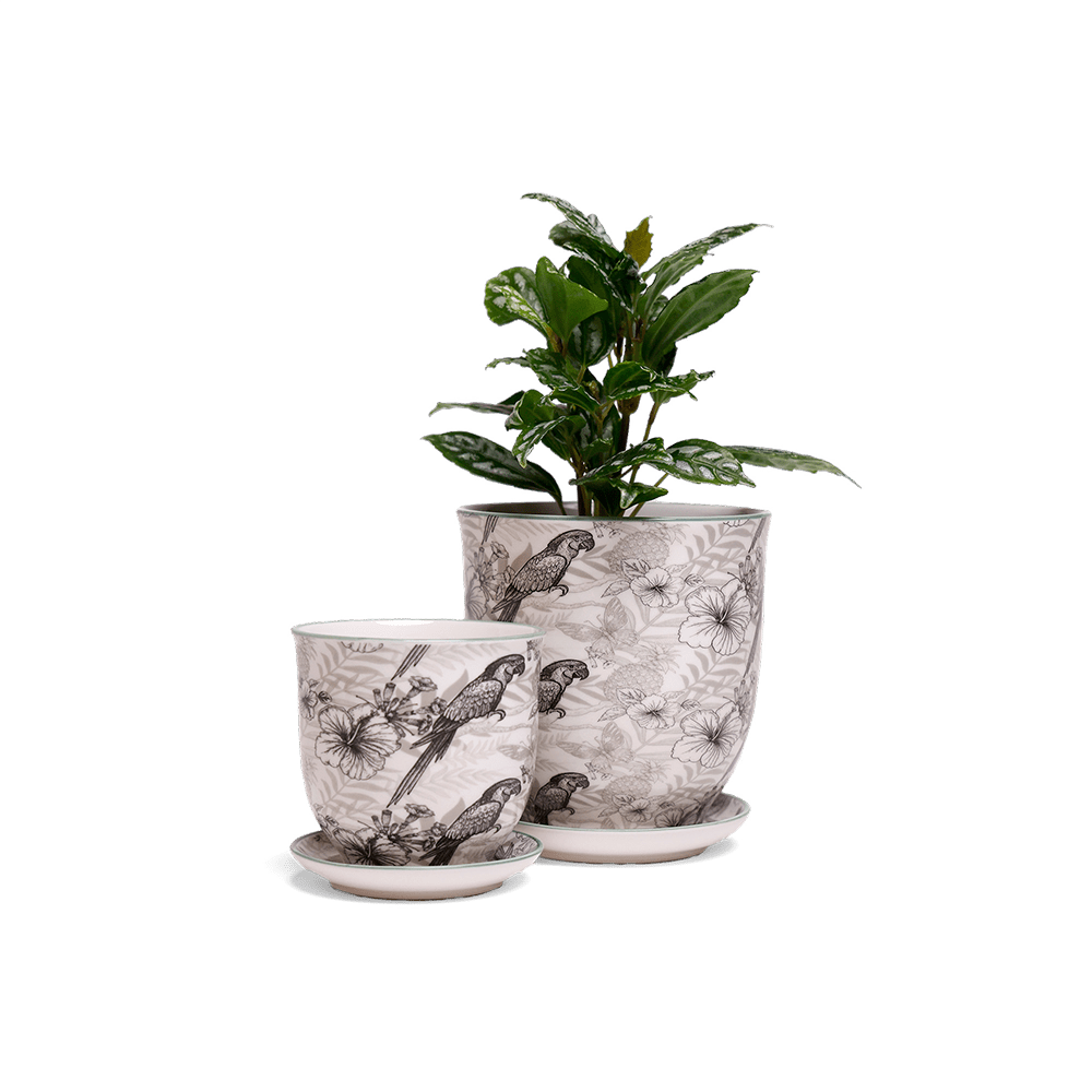 Liberte 5 Porcelain Pot And Saucer With Drainage - Chive Ceramics Studio - Pots - Chive Ceramics Studio