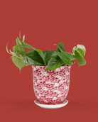 Liberte Porcelain 4.25" Pot And Saucer - Chive Ceramics Studio - Pots - Chive Ceramics Studio