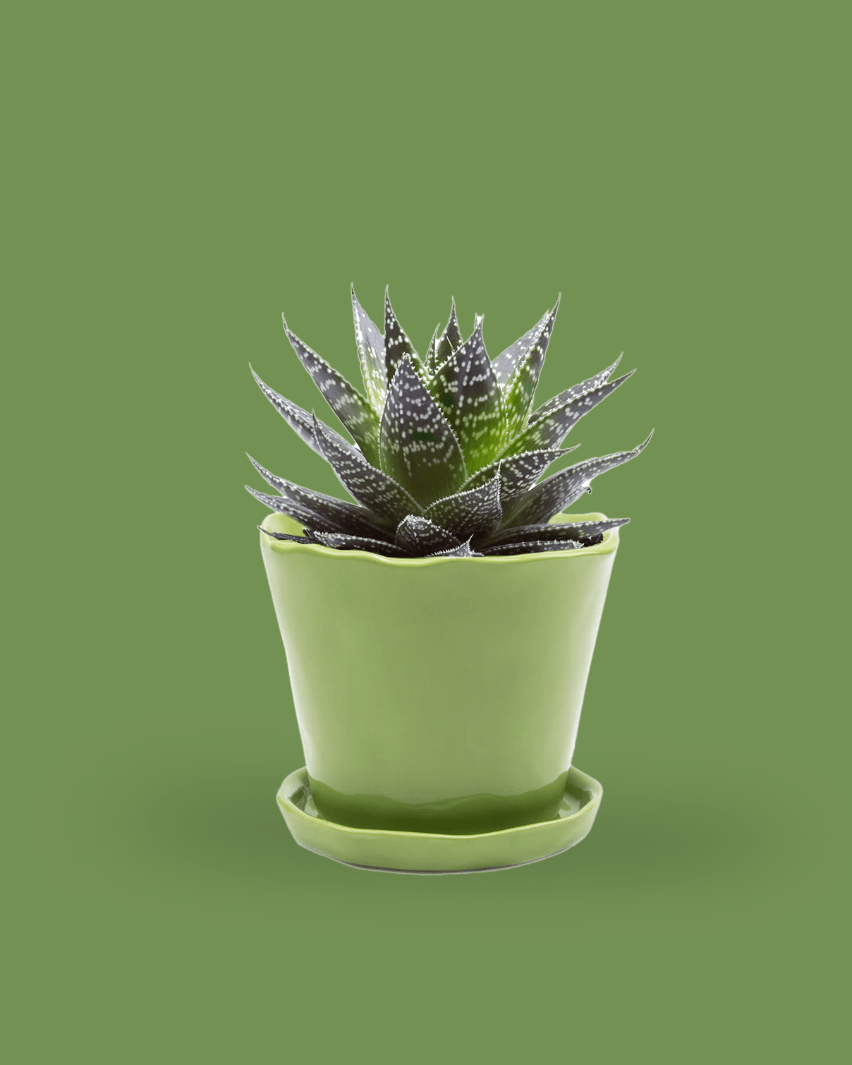 Tika Ceramic 5" Pot & Saucer Set With Drainage - Chive Ceramics Studio - Pots - Chive Ceramics Studio