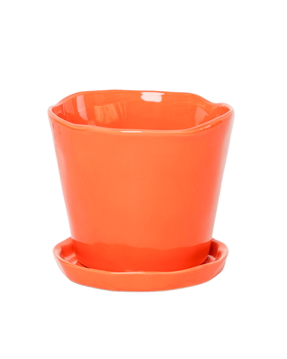 Tika Pot & Saucer | 8 & 10 inch - Chive Ceramics Studio - Pots - Chive Ceramics Studio