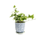 Liberte Porcelain 4.25" Pot And Saucer - Chive Ceramics Studio - Pots - Chive Ceramics Studio