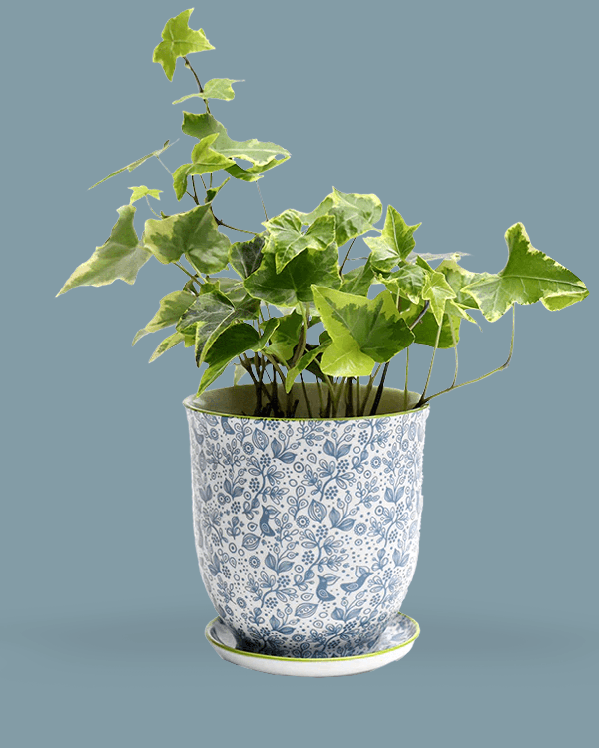 Liberte Porcelain 4.25" Pot And Saucer - Chive Ceramics Studio - Pots - Chive Ceramics Studio