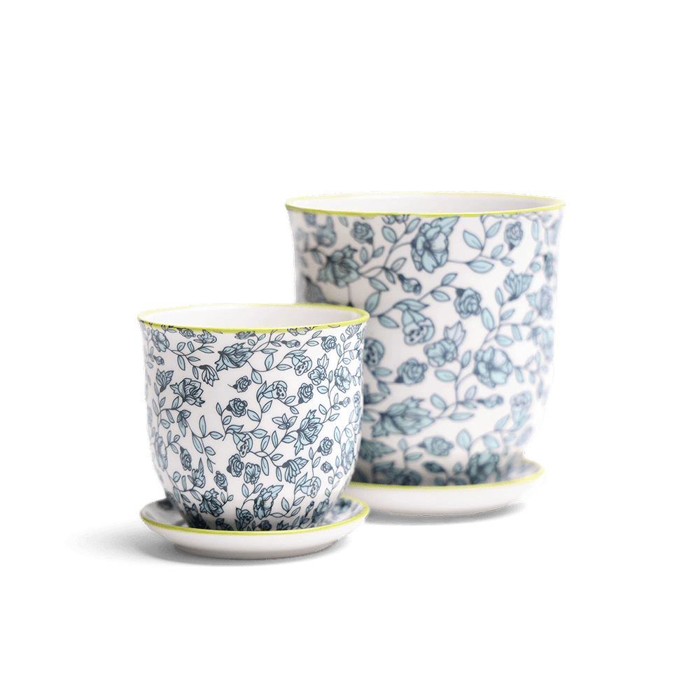 Liberte Porcelain Pot And Saucer Set With Drainage - Chive Ceramics Studio - Pots - Chive Ceramics Studio