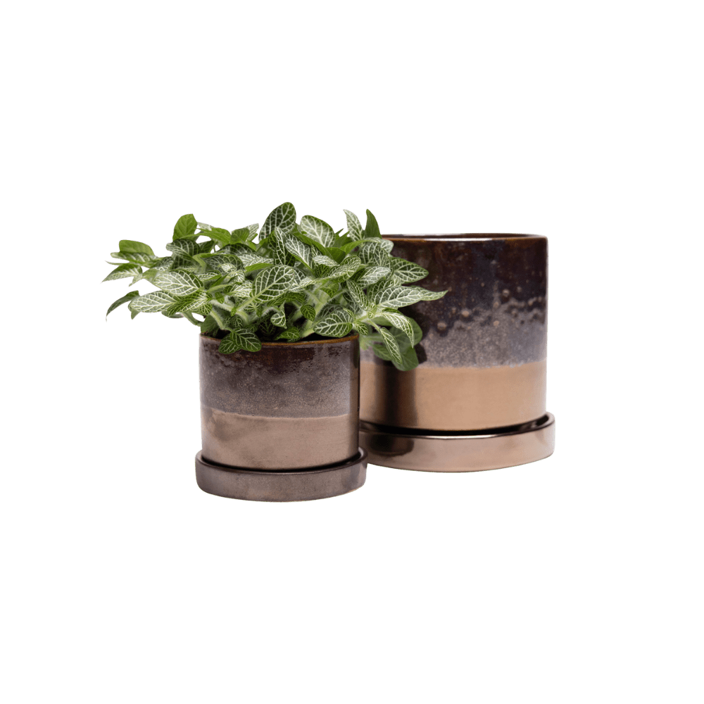 Minute Ceramic Pot And Saucer Set With Drainage - Chive Ceramics Studio - Pots - Chive Ceramics Studio