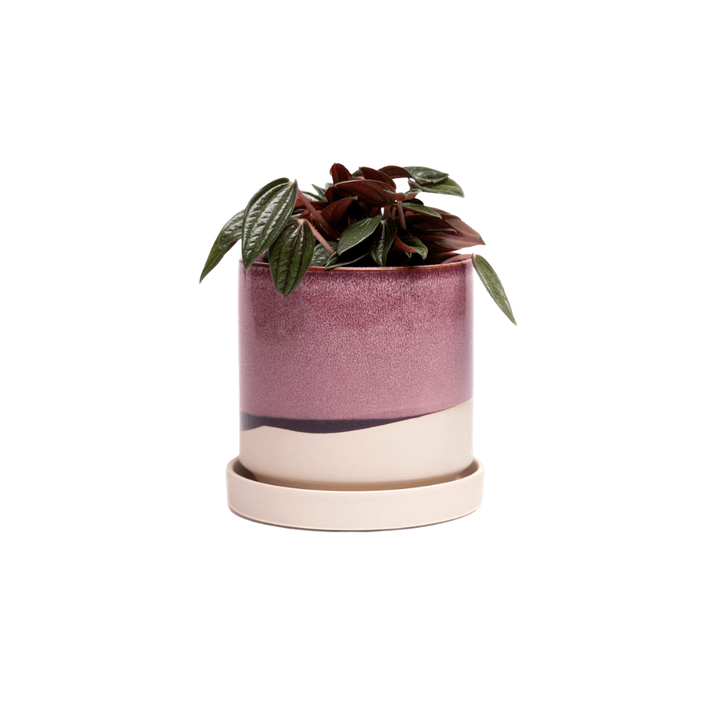 Minute Medium Ceramic Pot with Drainage Hole and Saucer — Burgundy