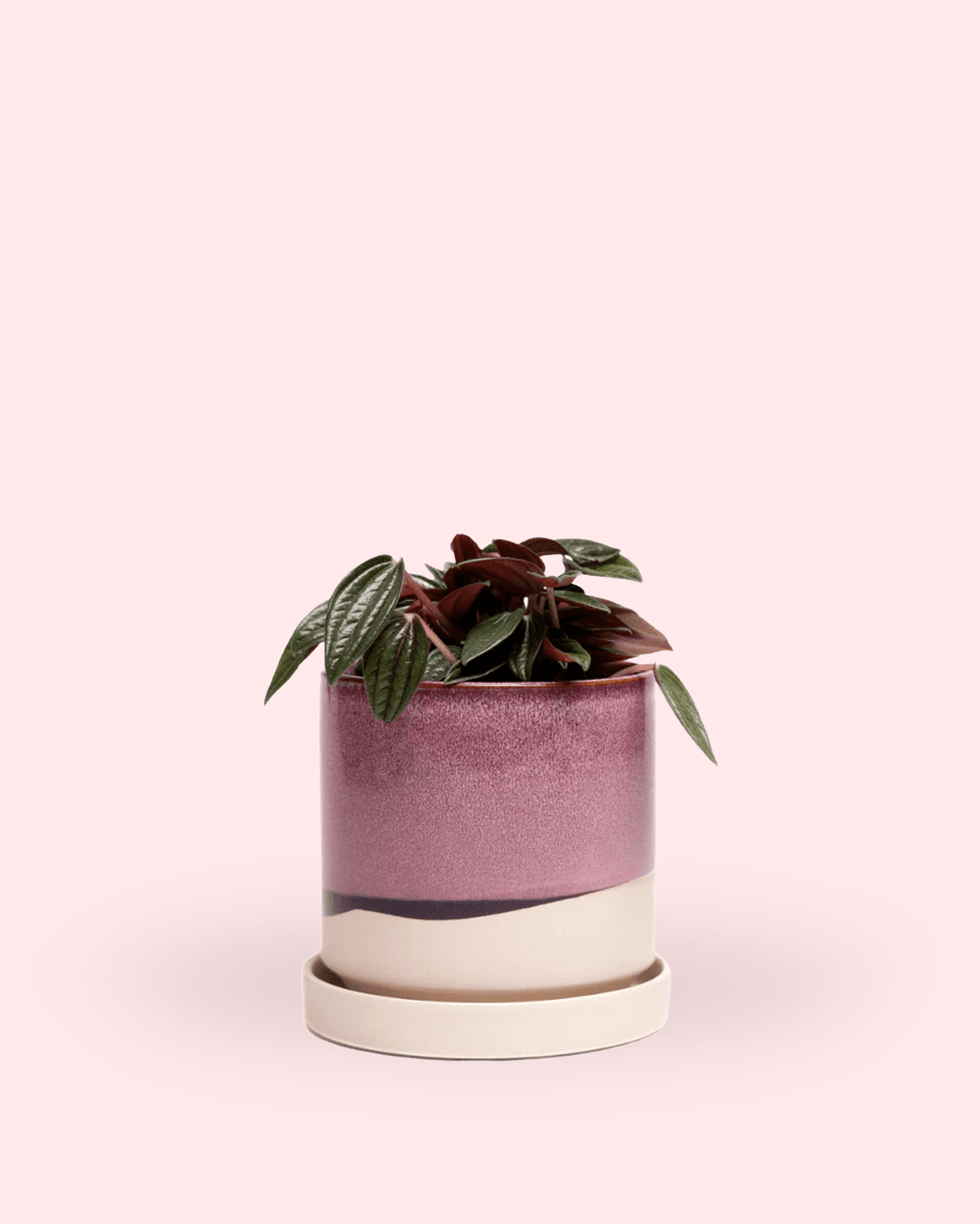 Minute Ceramic 5" Pot And Saucer Set - Chive Ceramics Studio - Pots - Chive Ceramics Studio