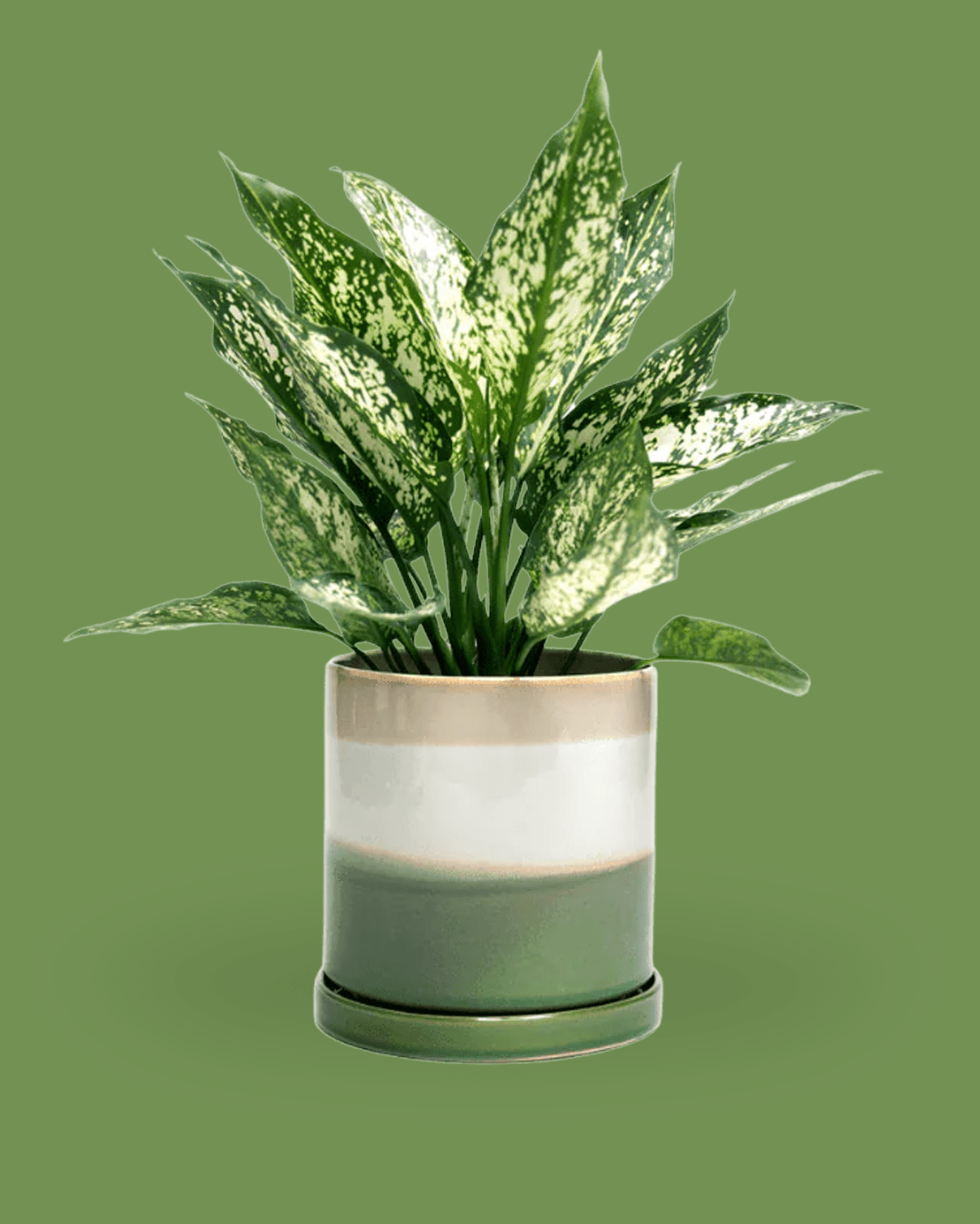 Minute Ceramic 5" Pot And Saucer Set - Chive Ceramics Studio - Pots - Chive Ceramics Studio