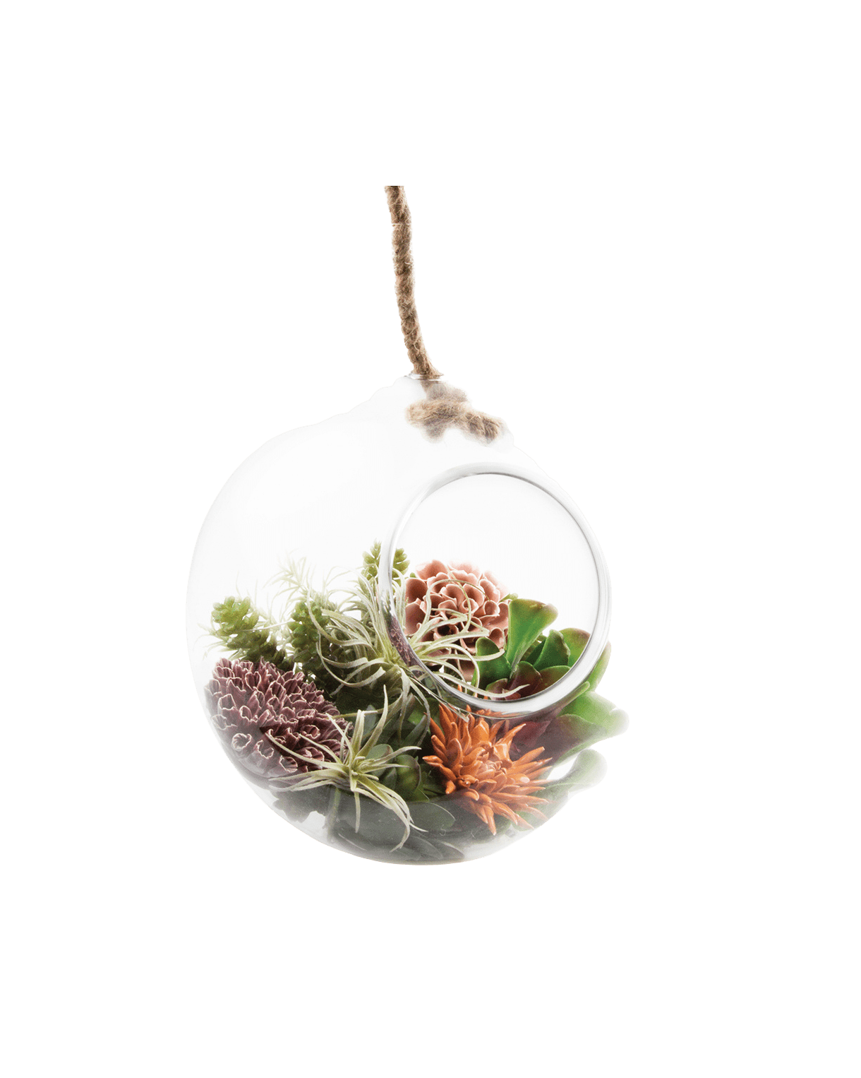 Bolsk Glass Large Hanging Terrarium - Chive Ceramics Studio - Terrariums - Chive US