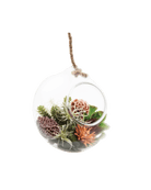 Bolsk Glass Large Hanging Terrarium - Chive Ceramics Studio - Terrariums - Chive US