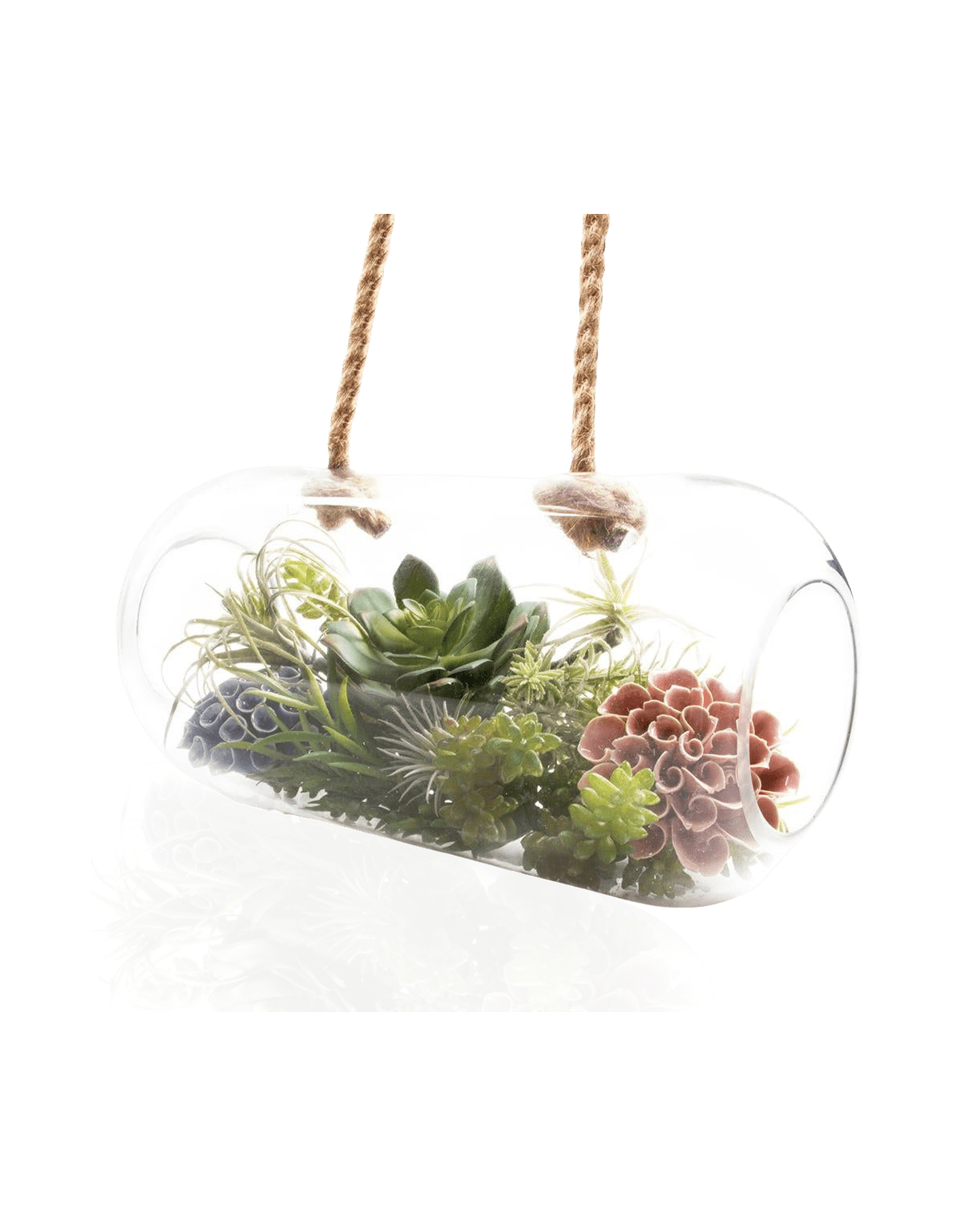 Bolsk Glass Large Hanging Terrarium - Chive Ceramics Studio - Terrariums - Chive US