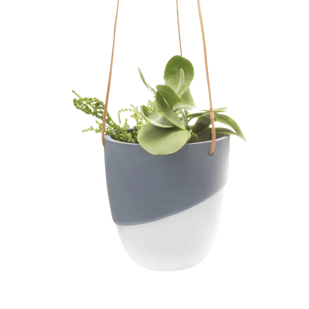 Bobbin Porcelain Modern Hanging Indoor Plant Pot - Chive Ceramics Studio - Pots - Chive US