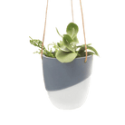 Bobbin Porcelain Modern Hanging Indoor Plant Pot - Chive Ceramics Studio - Pots - Chive US