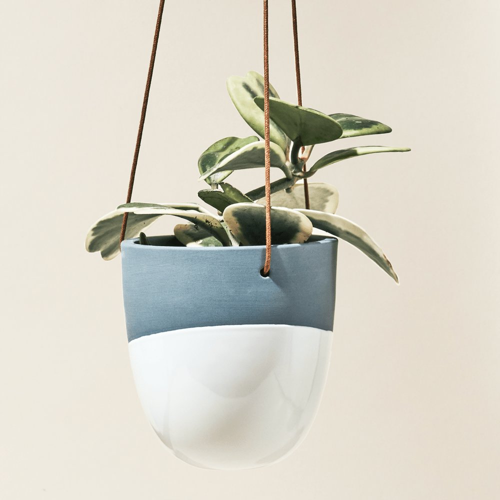 Bobbin Porcelain Modern Hanging Indoor Plant Pot - Chive Ceramics Studio - Pots - Chive US