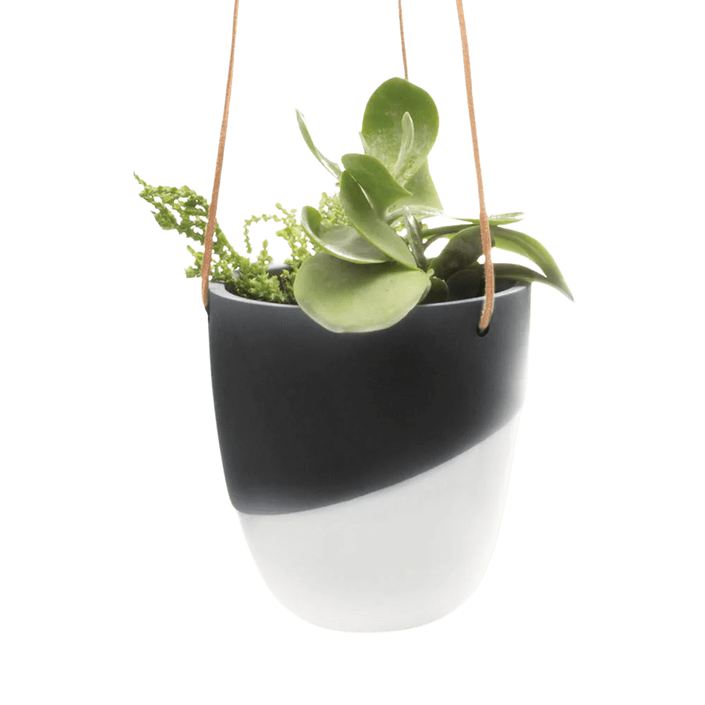 Bobbin Porcelain Modern Hanging Indoor Plant Pot - Chive Ceramics Studio - Pots - Chive US