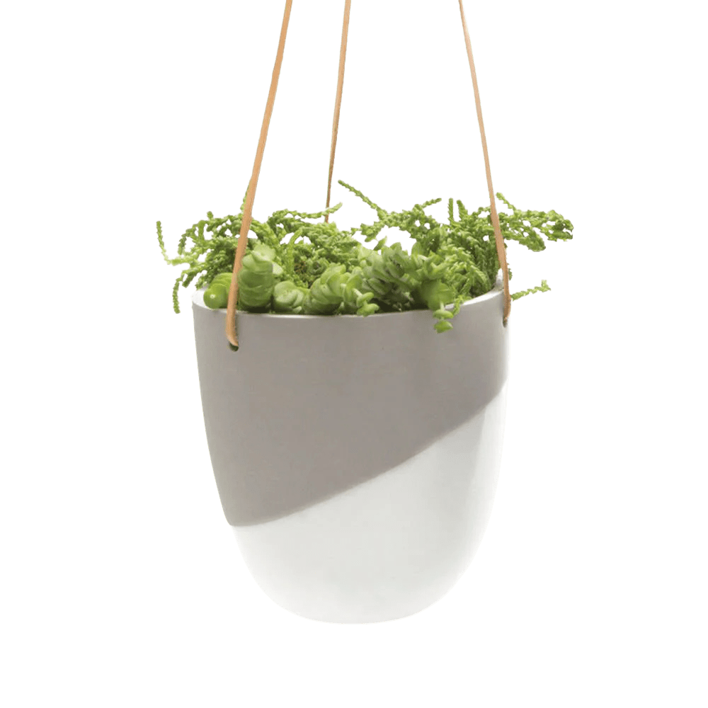 Bobbin Porcelain Modern Hanging Indoor Plant Pot - Chive Ceramics Studio - Pots - Chive US