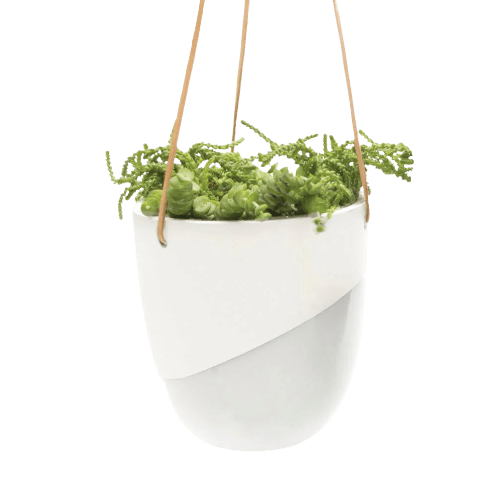 Bobbin Porcelain Modern Hanging Indoor Plant Pot - Chive Ceramics Studio - Pots - Chive US