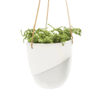 Bobbin Porcelain Modern Hanging Indoor Plant Pot - Chive Ceramics Studio - Pots - Chive US