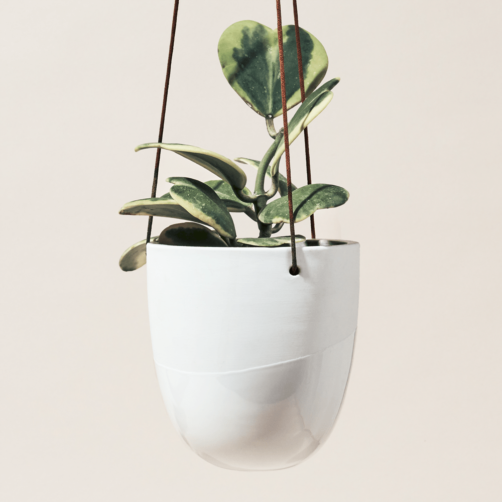 Bobbin Porcelain Modern Hanging Indoor Plant Pot - Chive Ceramics Studio - Pots - Chive US