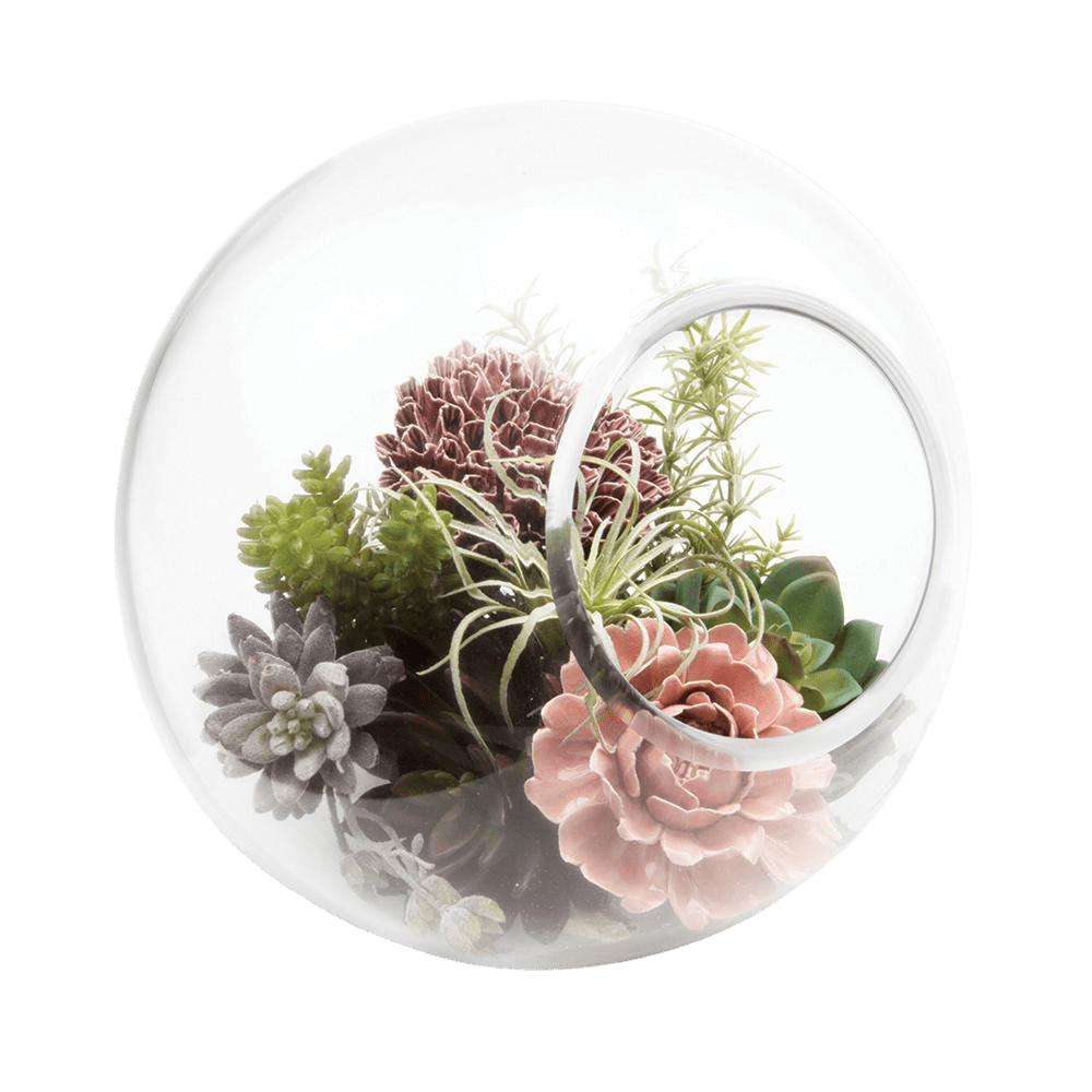 Bolsk Glass Large Hanging Terrarium - Chive Ceramics Studio - Terrariums - Chive US