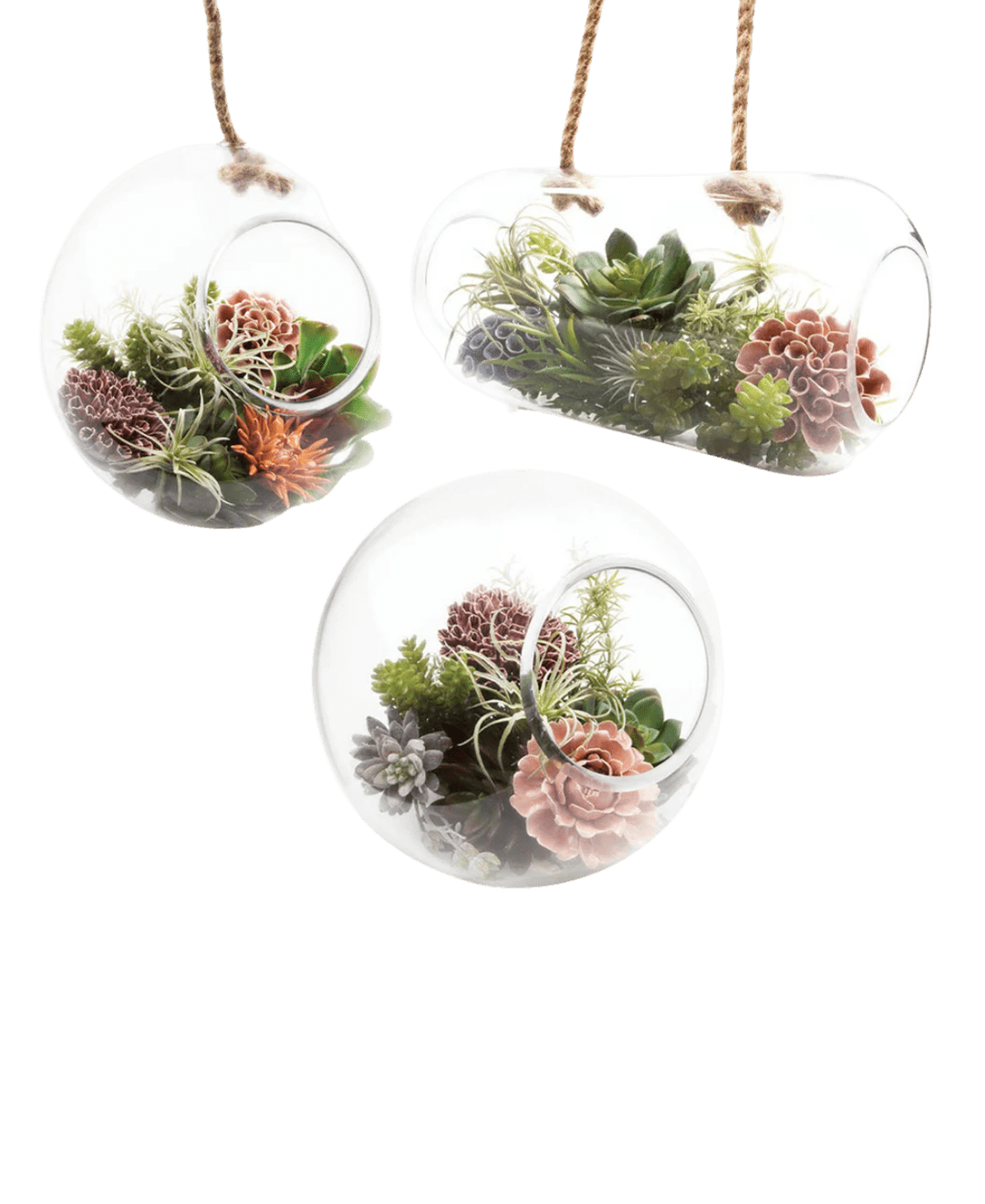 Bolsk Glass Large Hanging Terrarium - Chive Ceramics Studio - Terrariums - Chive US