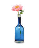 Bottle Glass Decorative Flower Vase - Chive Ceramics Studio - Vases - Chive US