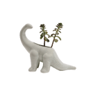 Dinosaur Ceramic Indoor Plant Pot For Succulents - Chive Ceramics Studio - Pots - Chive US