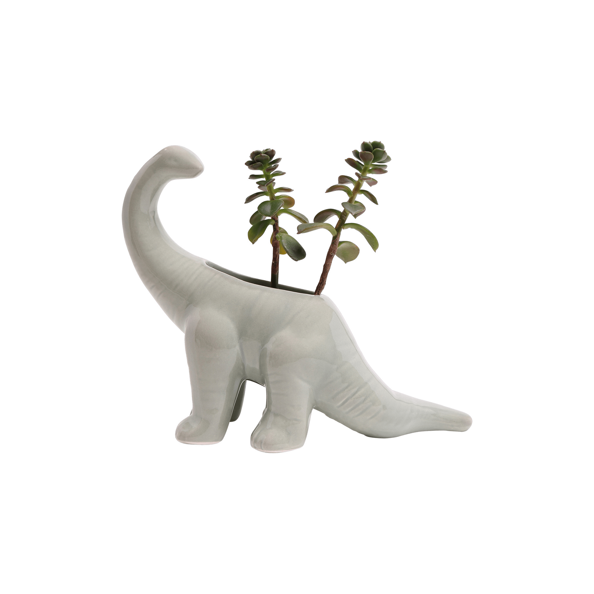 Dinosaur Ceramic Indoor Plant Pot For Succulents - Chive Ceramics Studio - Pots - Chive US