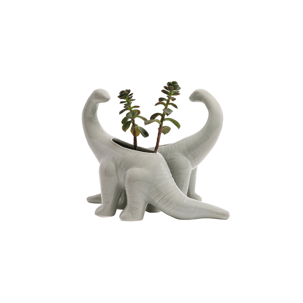 Dinosaur Ceramic Indoor Plant Pot For Succulents - Chive Ceramics Studio - Pots - Chive US