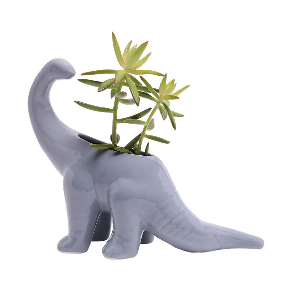 Dinosaur Ceramic Indoor Plant Pot For Succulents - Chive Ceramics Studio - Pots - Chive US