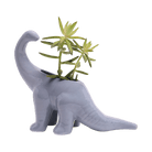 Dinosaur Ceramic Indoor Plant Pot For Succulents - Chive Ceramics Studio - Pots - Chive US