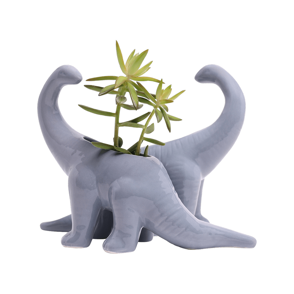 Dinosaur Ceramic Indoor Plant Pot For Succulents - Chive Ceramics Studio - Pots - Chive US