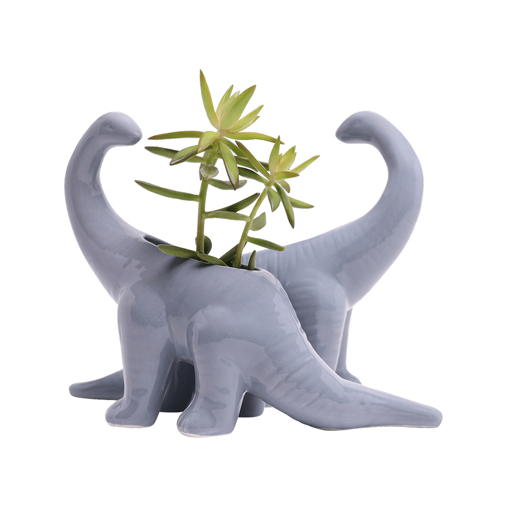 Brontosaurus Ceramic Indoor Plant Pot for Succulents - Chive Ceramics Studio - Pots - Chive Ceramics Studio