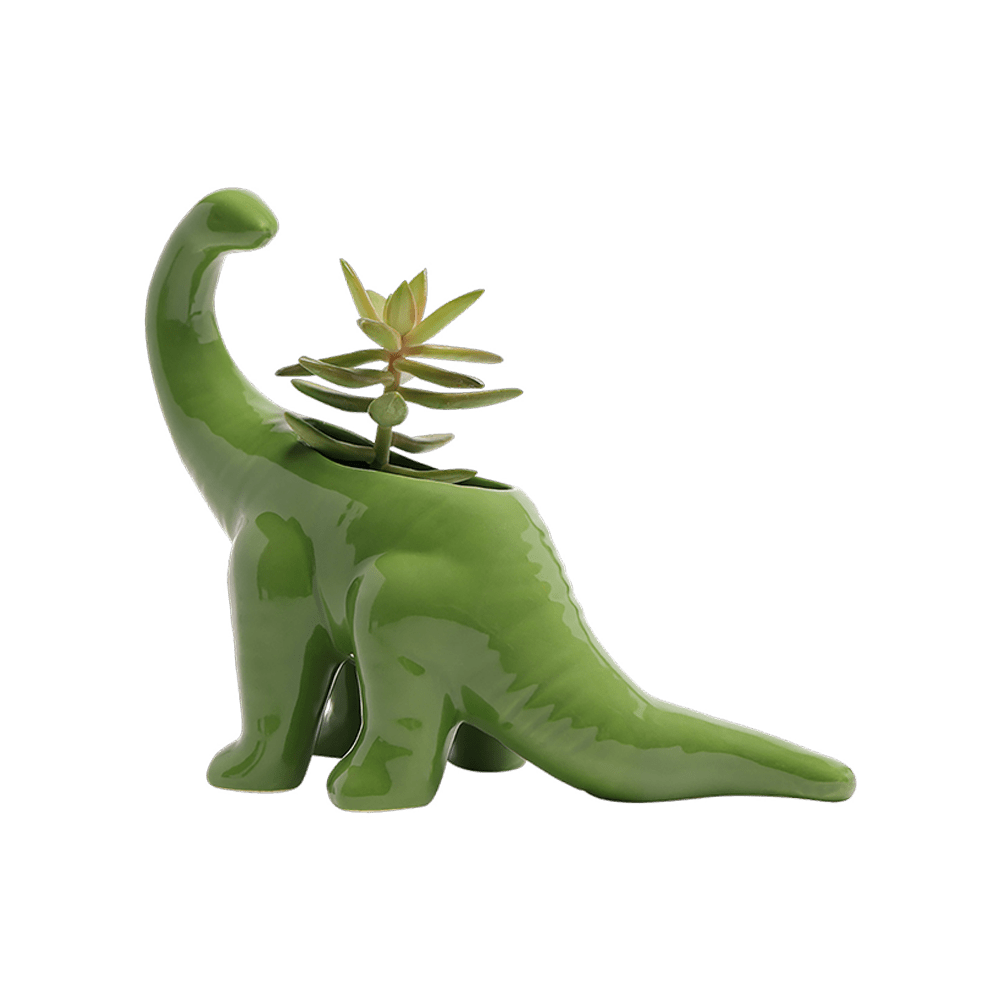 Dinosaur Ceramic Indoor Plant Pot For Succulents - Chive Ceramics Studio - Pots - Chive US