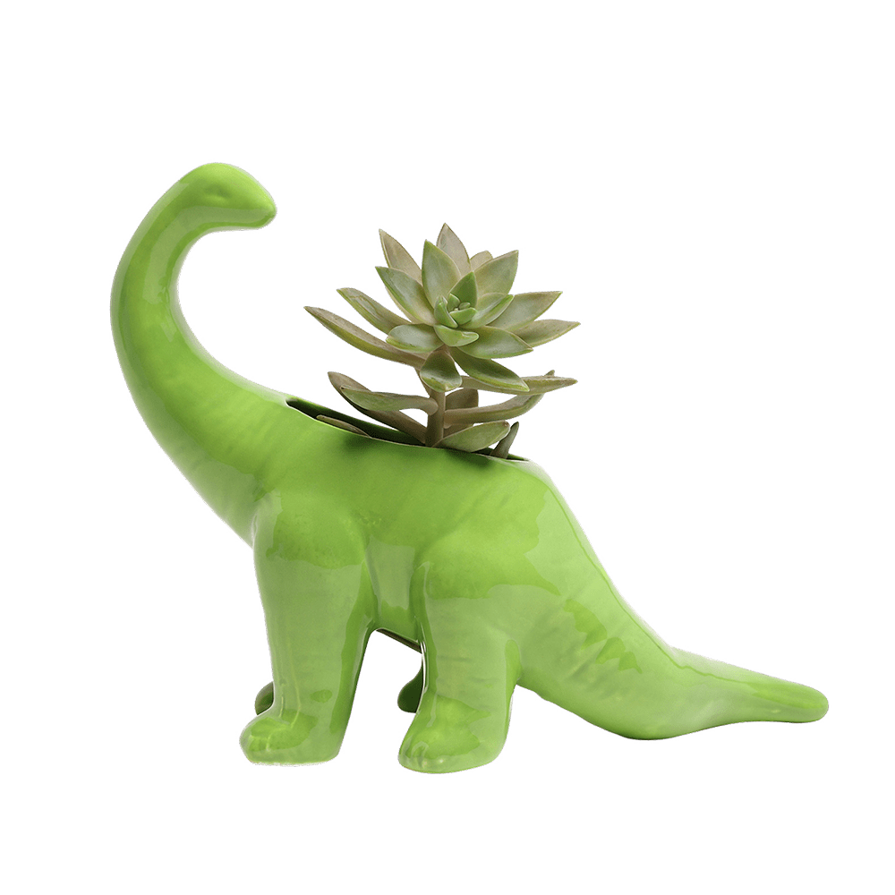 Dinosaur Ceramic Indoor Plant Pot For Succulents - Chive Ceramics Studio - Pots - Chive US