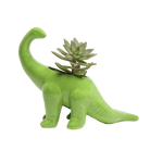 Dinosaur Ceramic Indoor Plant Pot For Succulents - Chive Ceramics Studio - Pots - Chive US