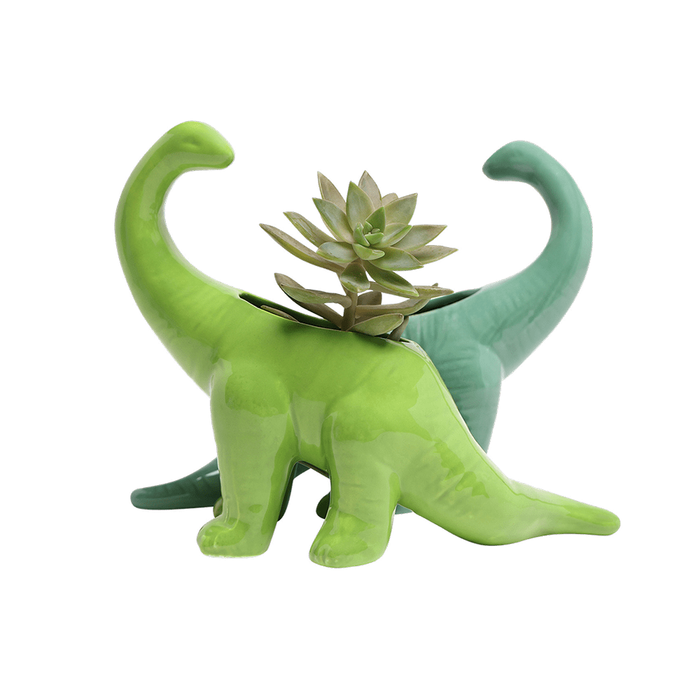 Dinosaur Ceramic Indoor Plant Pot For Succulents - Chive Ceramics Studio - Pots - Chive US