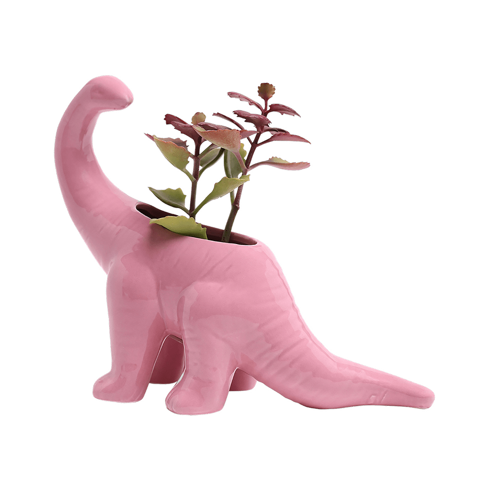 Dinosaur Ceramic Indoor Plant Pot For Succulents - Chive Ceramics Studio - Pots - Chive US